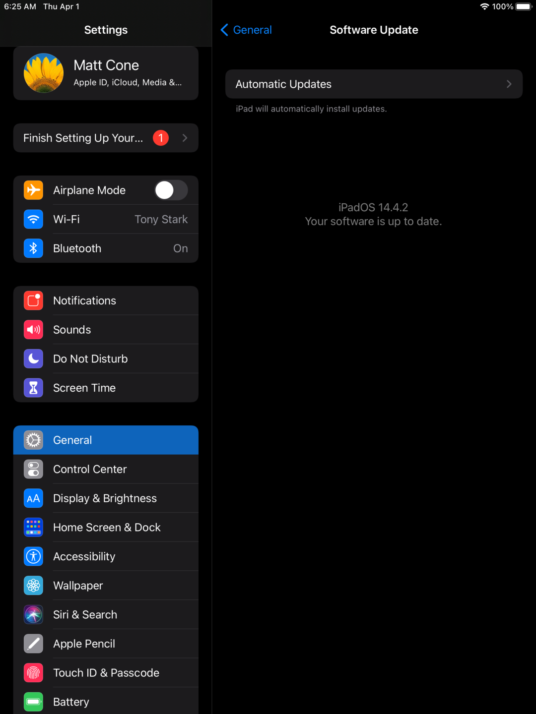 Disable automatic updates on your iPad