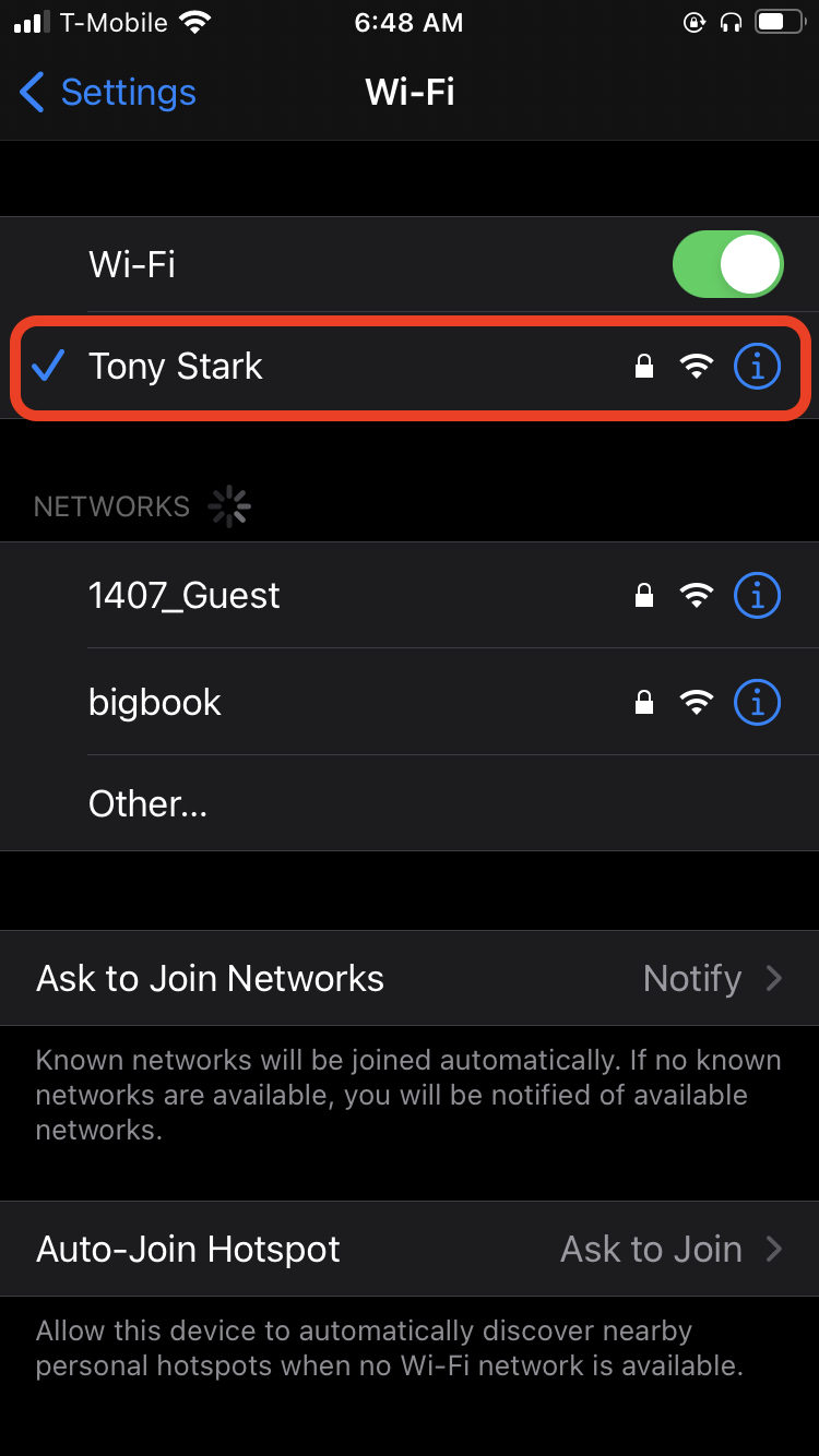 iPhone network settings