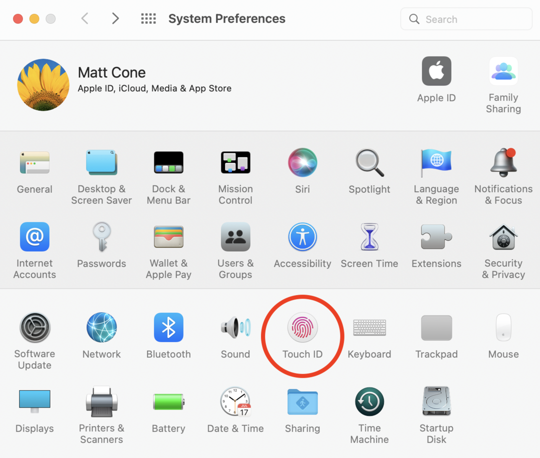 Touch ID settings on Mac