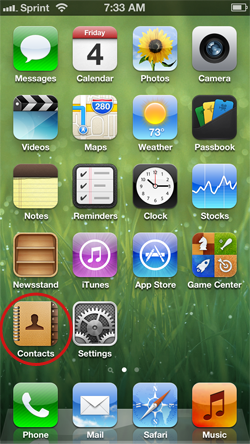 iPhone home screen