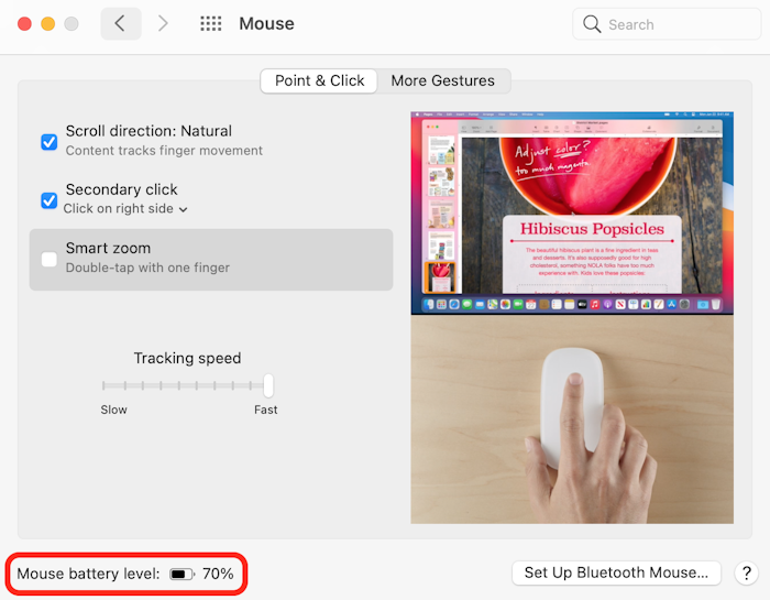Mac Magic Mouse settings