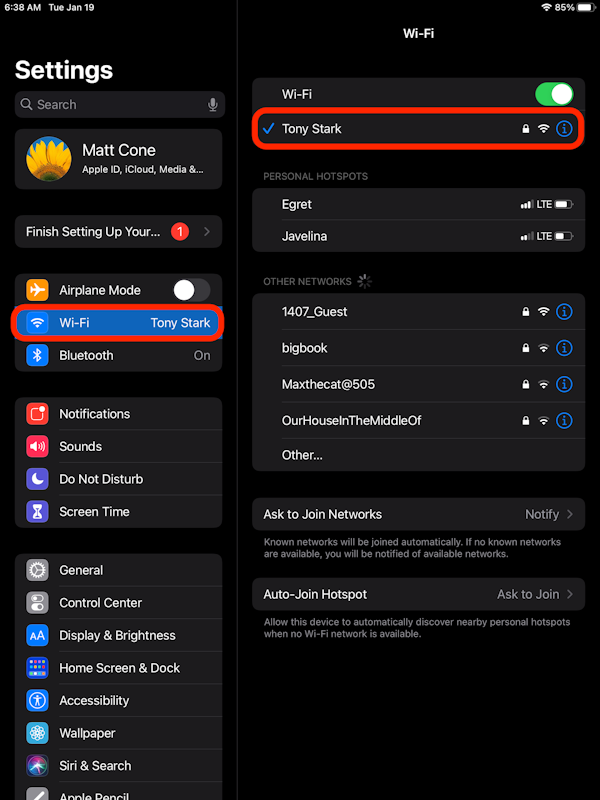 iPad network settings