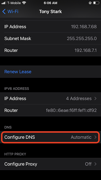 iPhone DNS settings