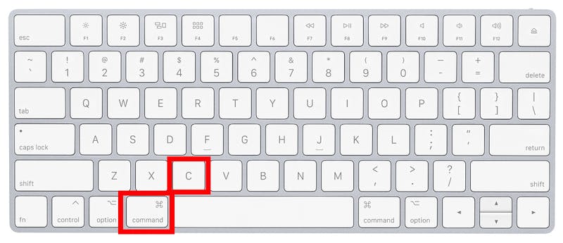 How To Copy And Paste On Mac Macinstruct