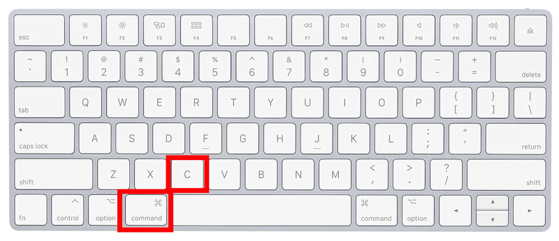 copy paste command in mac book