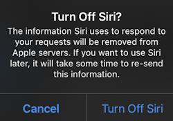 Disabling Siri on an iPad