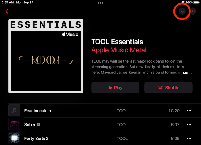 Download music to iPad