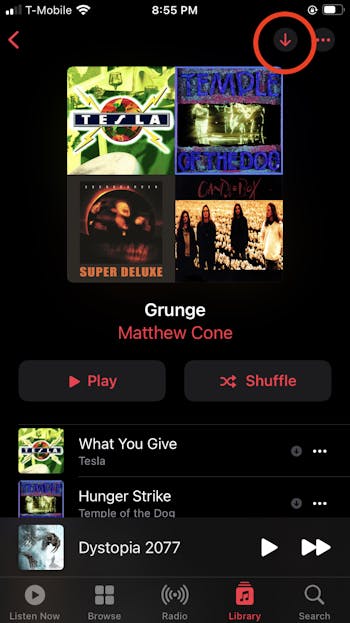 How to Download Music to Your iPhone | Macinstruct