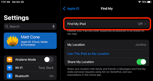 Enable Find My iPad on your iPad