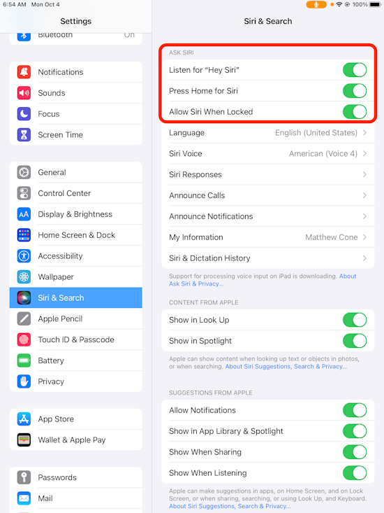 iPad Siri settings