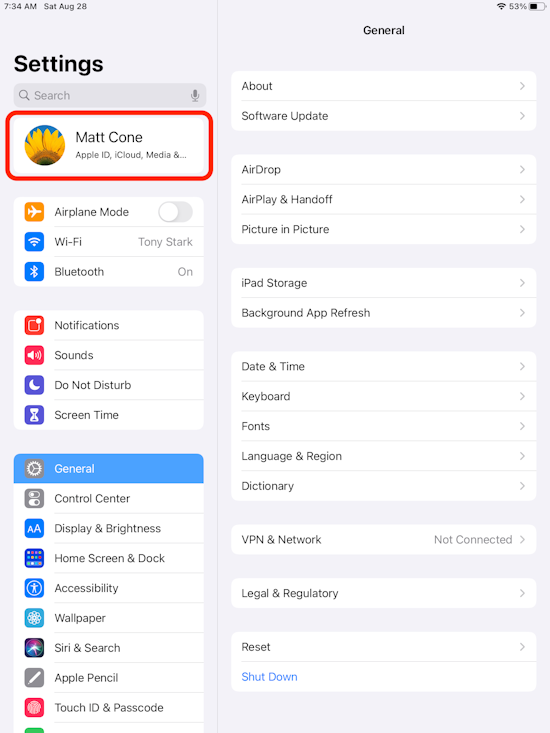 iPad iOS system settings