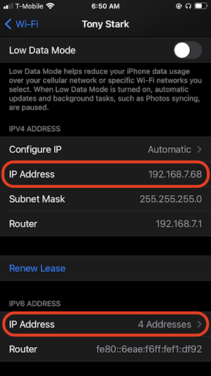 iPhone IP address settings