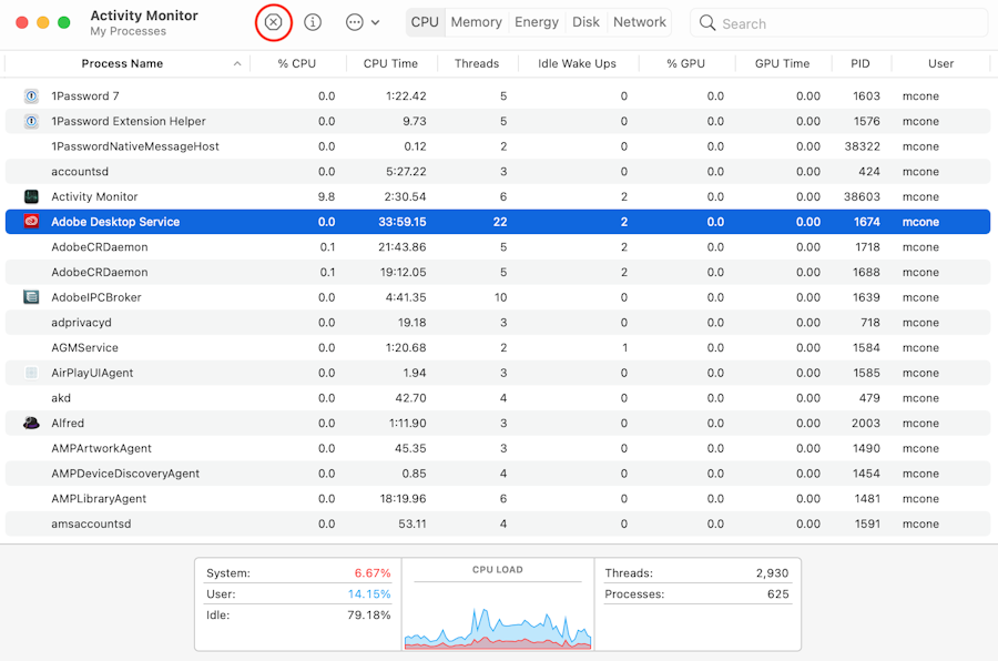 Activity Monitor application on Mac