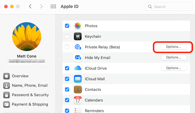 Enable Private Relay on your Mac