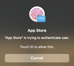 Using Touch ID to make purchases on your Mac