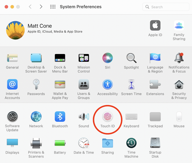 Touch ID settings on Mac