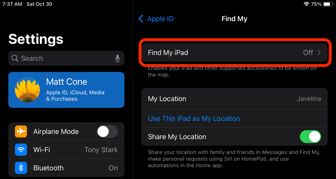 Enable Find My iPad on your iPad