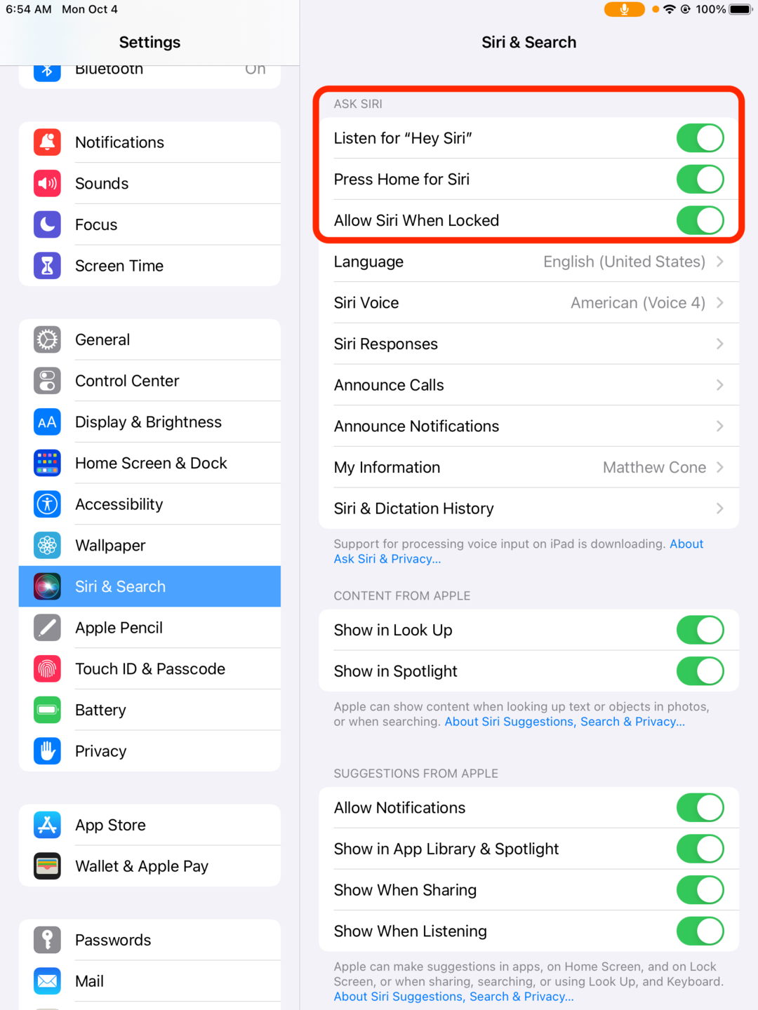 iPad Siri settings