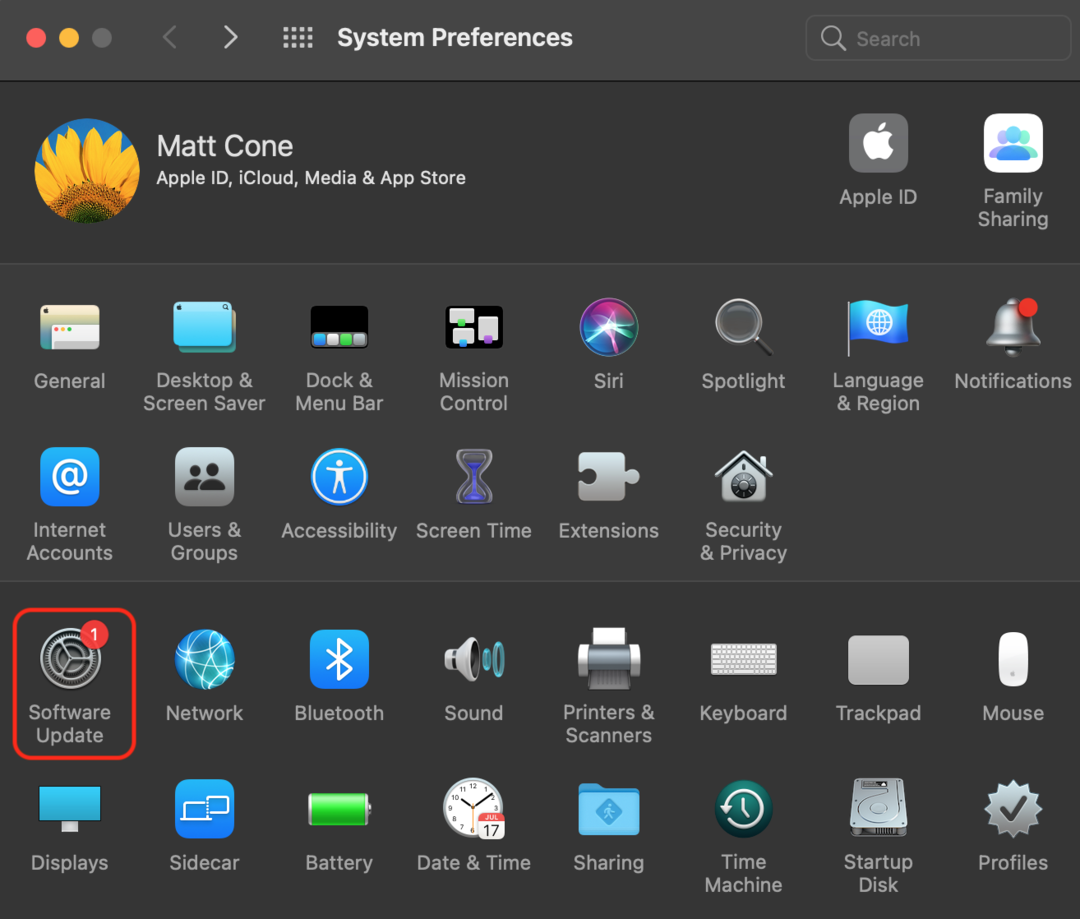 Disable automatic updates on your Mac