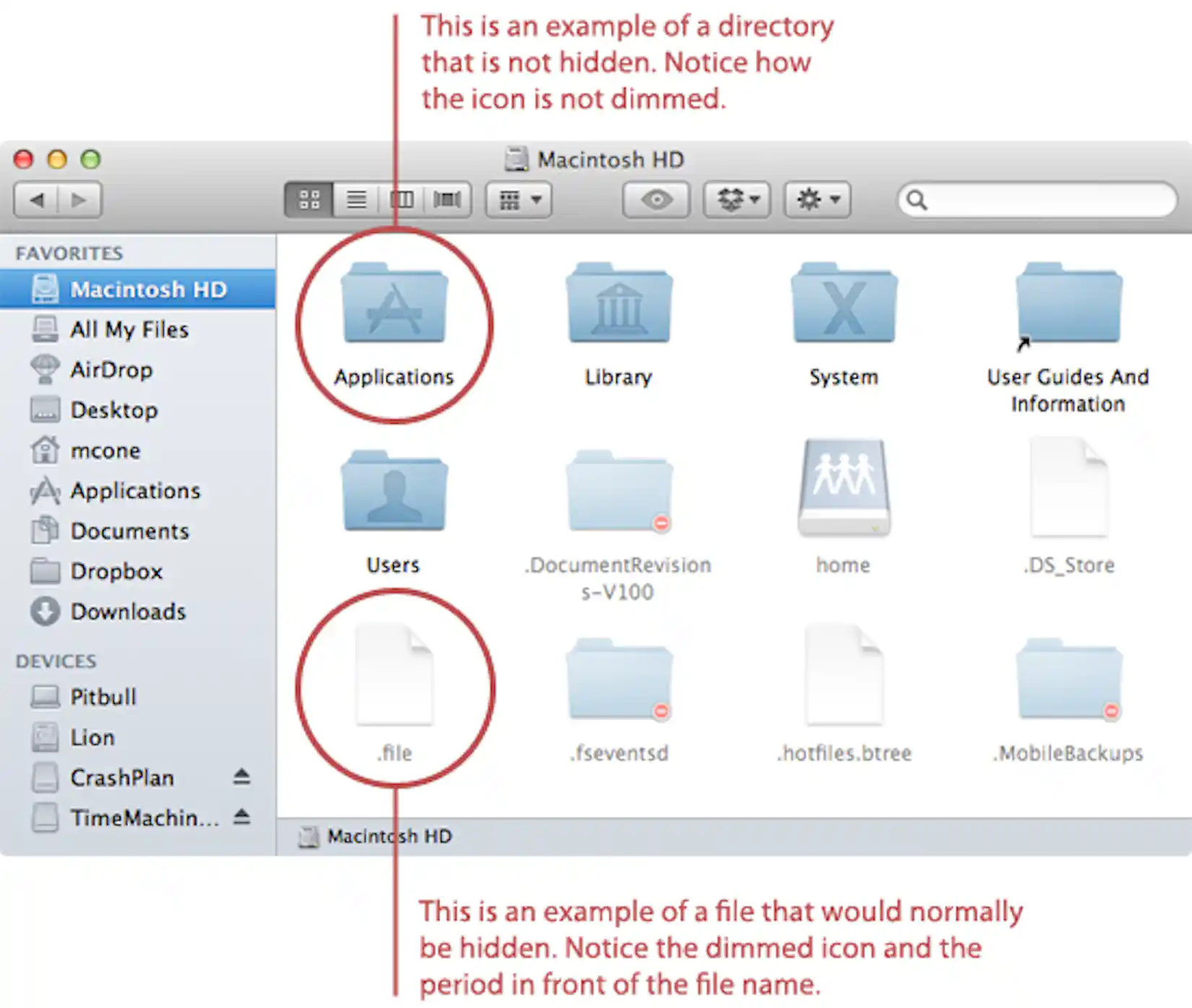 Значок флешки на маке. Finder для отображения скрытых файлов и папок на Macos. Как выглядят папки в Macos. Папка в скрытых на Mac.
