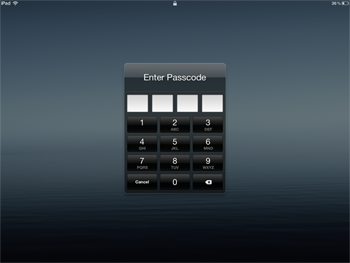 iPad passcode screen
