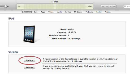 iPad settings in iTunes