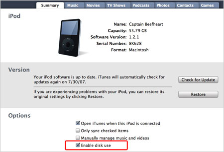 iPod settings in iTunes