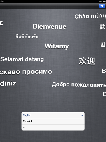 iPad setup screen