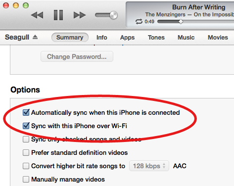 iPhone sync settings in iTunes